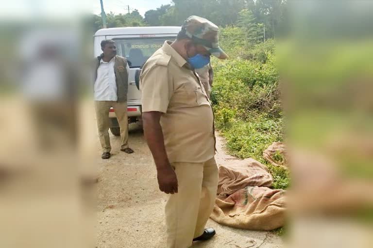 16-monkeys-killed-by-unknown-persons-with-poisonings-them-at-kolar