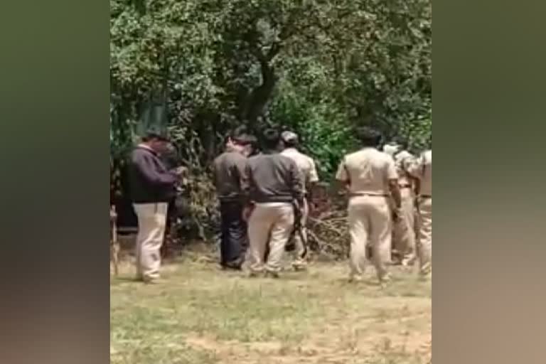 Leopard seen near Kalaghatagi taluk