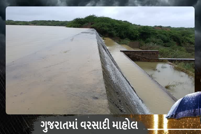 કચ્છ જિલ્લામાં સીઝનનો 104 ટકા વરસાદ નોંધાયો