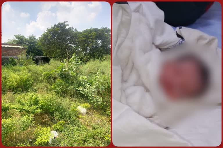 newborn girl found in Narela bushes