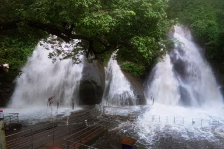 information-released-about-courtallam-falls