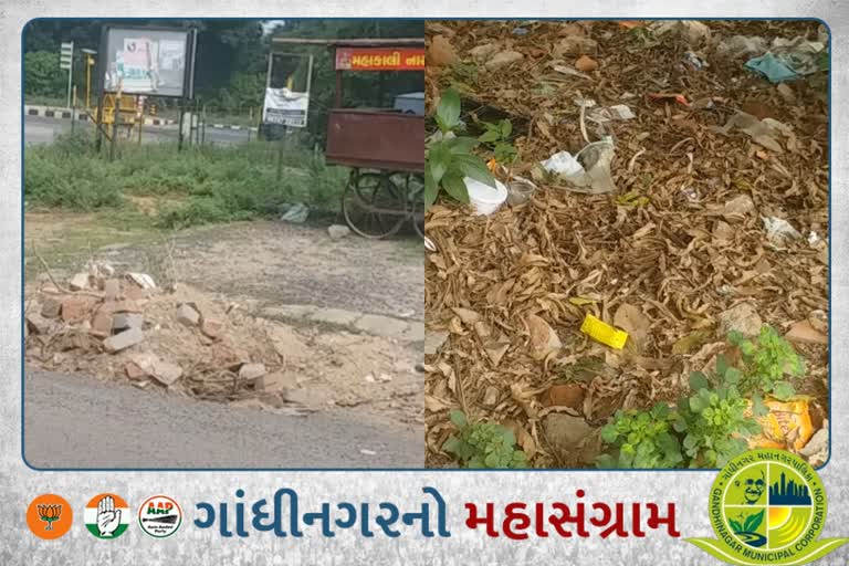 વોર્ડ નંબર 10માં જોવા મળી જુદી-જુદી સમસ્યાઓ