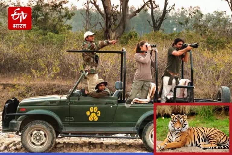Alwar news, Ranthambore Tiger Reserve