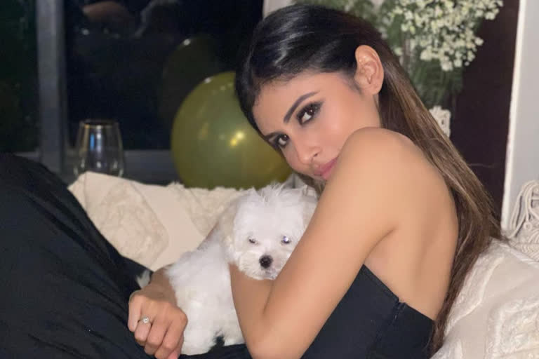 Mouni Roy will tie Suraj Nambiar in January 2022