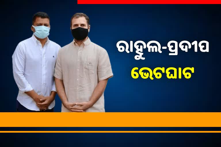 ରାହୁଲ ଗାନ୍ଧୀଙ୍କୁ ଭେଟିଲେ ପିସିସିର କାର୍ଯ୍ୟକାରୀ ସଭାପତି ପ୍ରଦୀପ ମାଝୀ