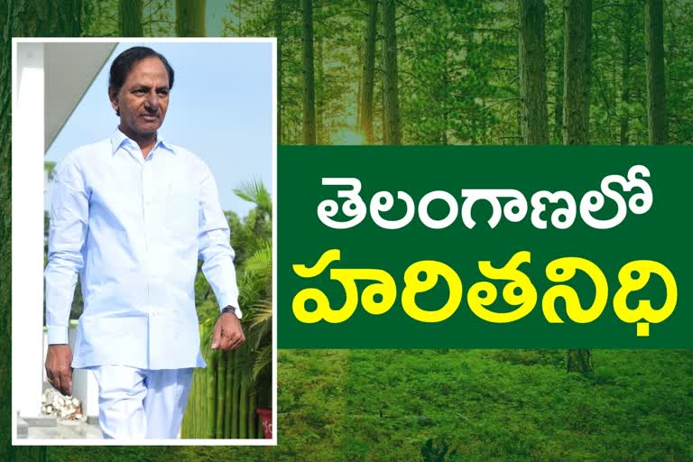 CM KCR