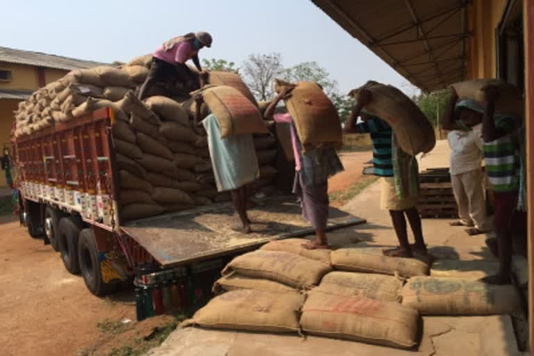 Paddy procurement in Punjab and Haryana from October 11