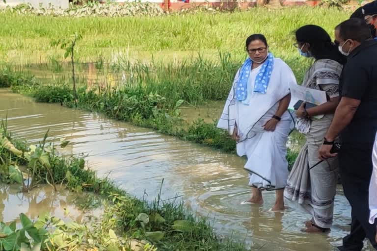 Mamata Banerjee