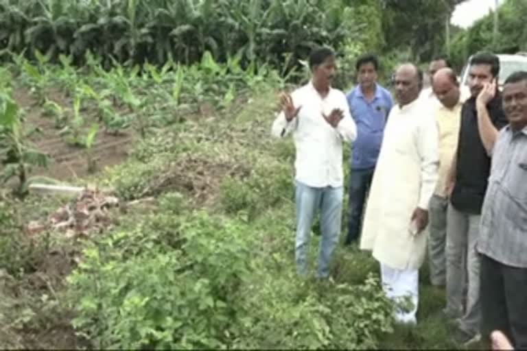 Mansukh Vasava in Narmada