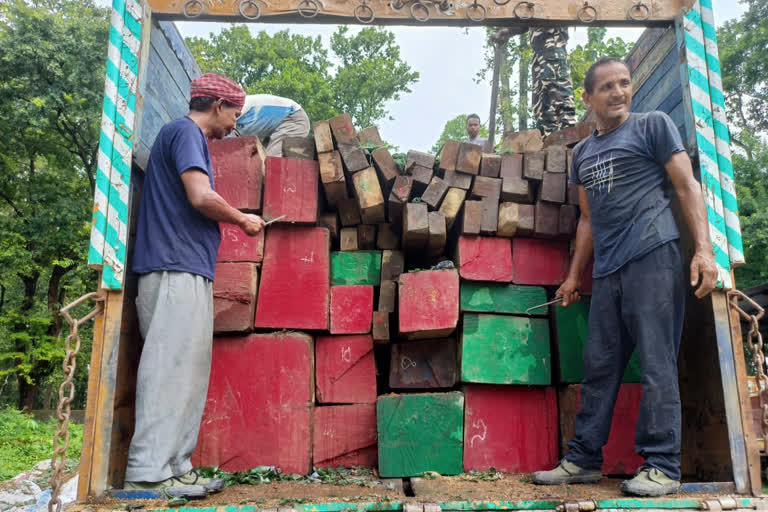 forest department recovers teak wood worth rupees 40 lakh, arrests two men