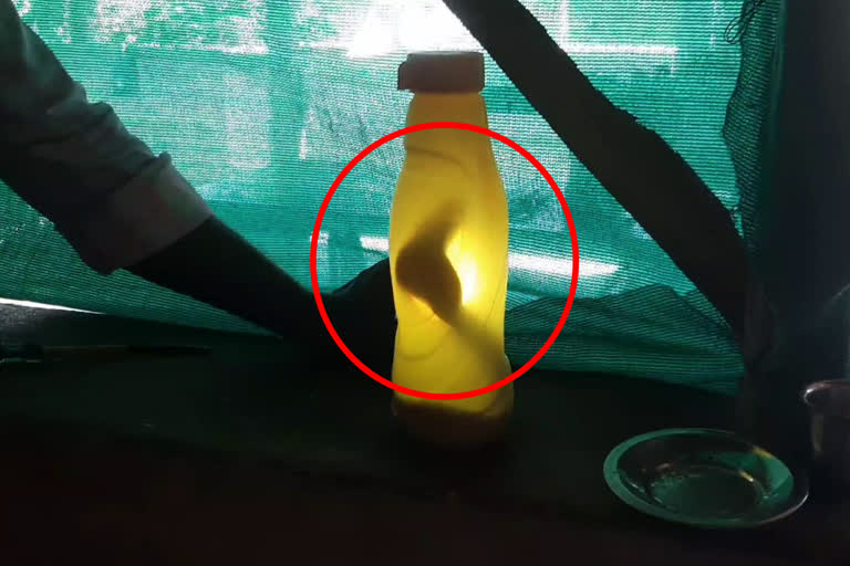 Viral Video, snake in water bottle