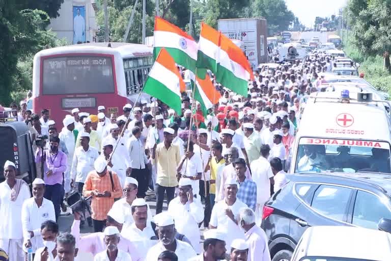 gandhi-walk-towards-krishna-campaign-success