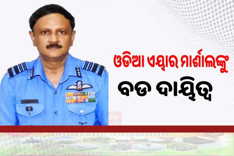 Air Marshal DK Patnaik