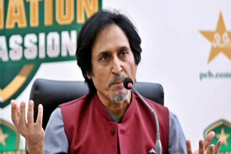 Rameez Raja  Cricket nursery  क्रिकेट नर्सरी  रमीज राजा  पाकिस्तान क्रिकेट बोर्ड  पीसीबी  Pakistan Cricket Board  PCB