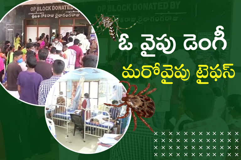heavy-dengue-and-tyfus-fever-patients-in-krishna-district