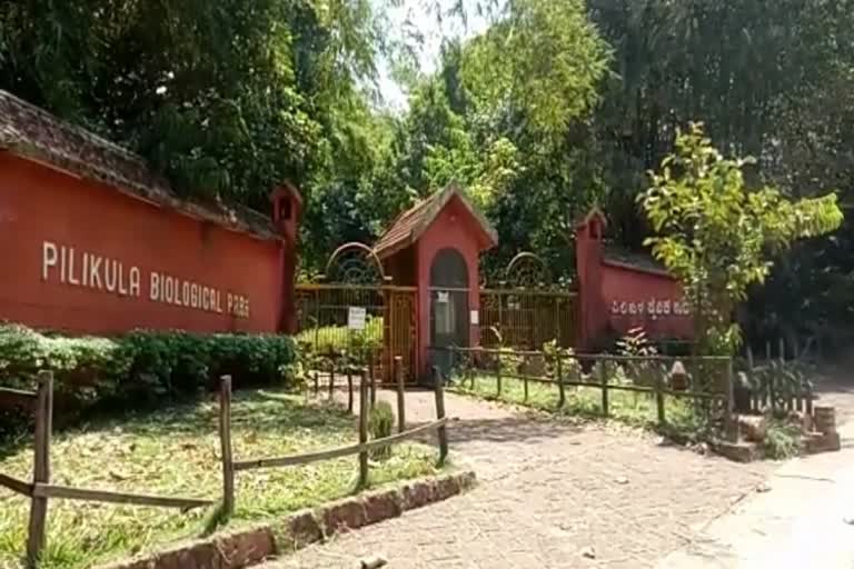 Pilikula zoo