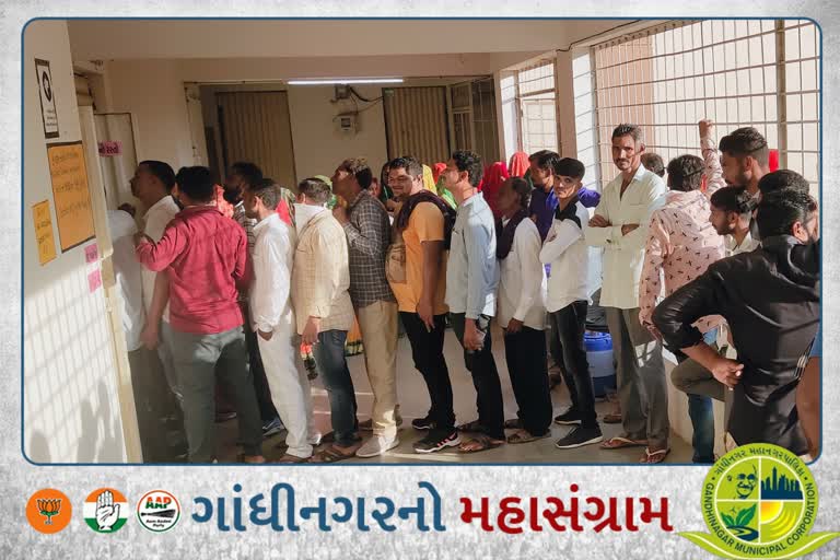 Thara municipal elections : 20 બેઠકો માટે મતદાન શરૂ થયું