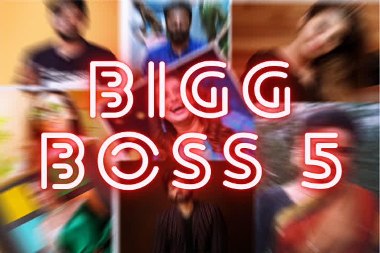 big-boss-5-contestants