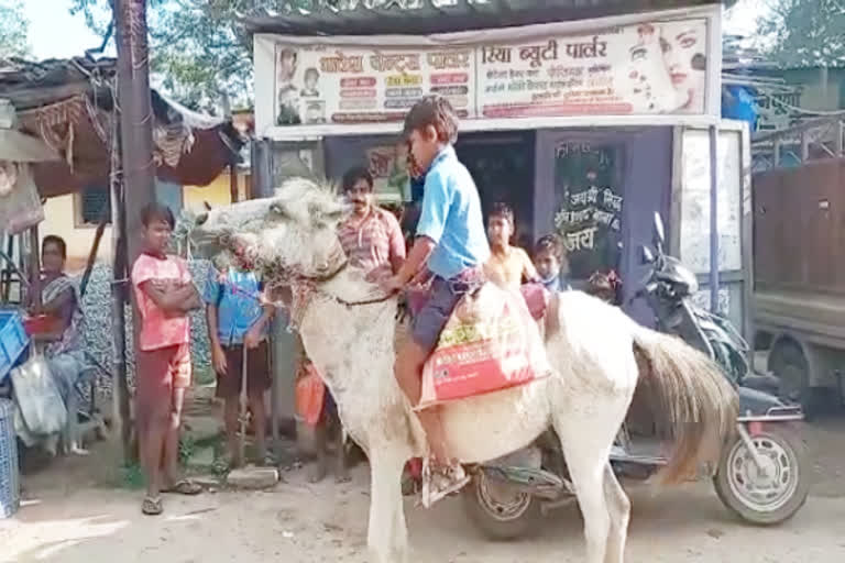 Meet 12-year-old Chhattisgarh boy who rides horse daily to reach school