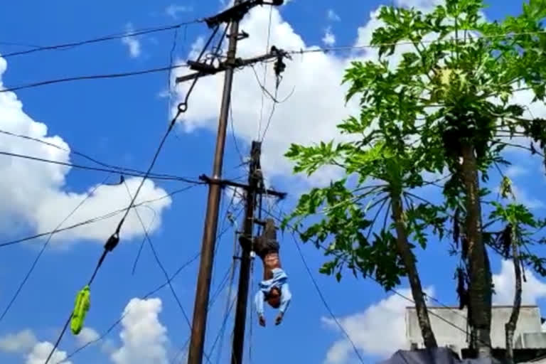 lineman hung on pole in Washim