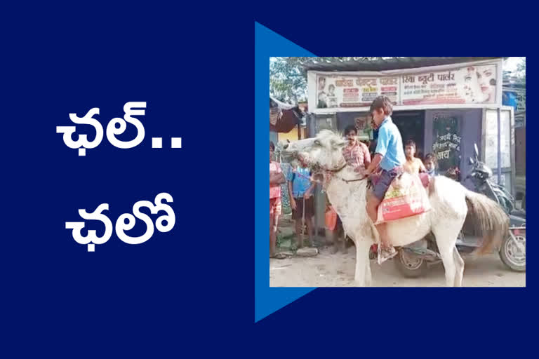 boy  rides horse daily to reach school