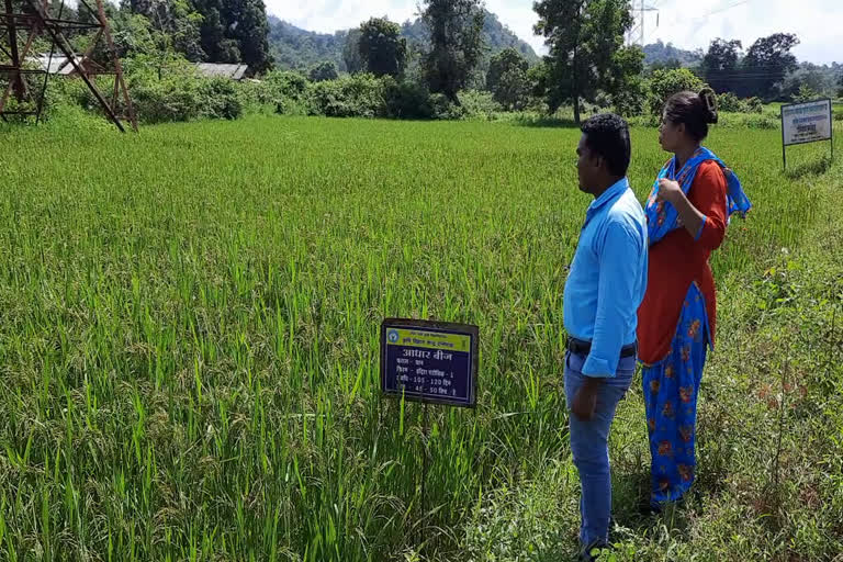 Farmers in 10 acres of area