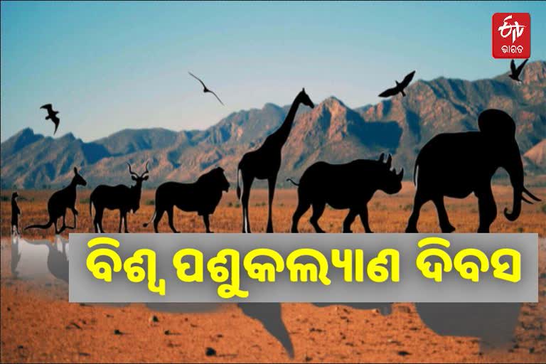 World Animal Day 2021: ଜୀବଜଗତର ଅଭିନ୍ନ ଅଂଶ ପଶୁ