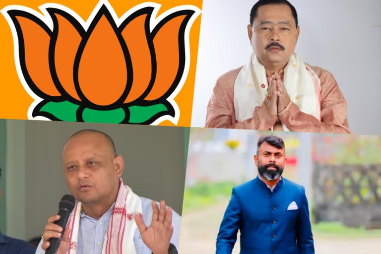 bjp-announces-three-constituencies-candidate-name