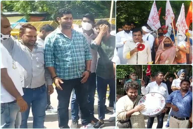 protest in jaipur