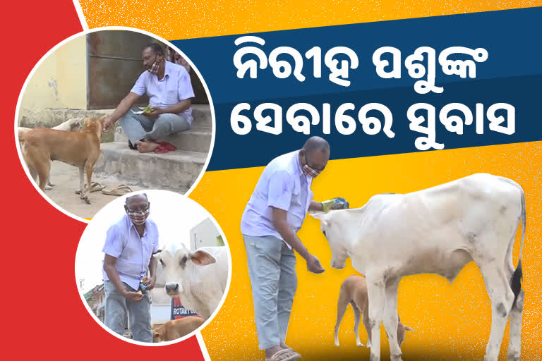 Subash  Animal man of nayagarh Self life dedicated for animal