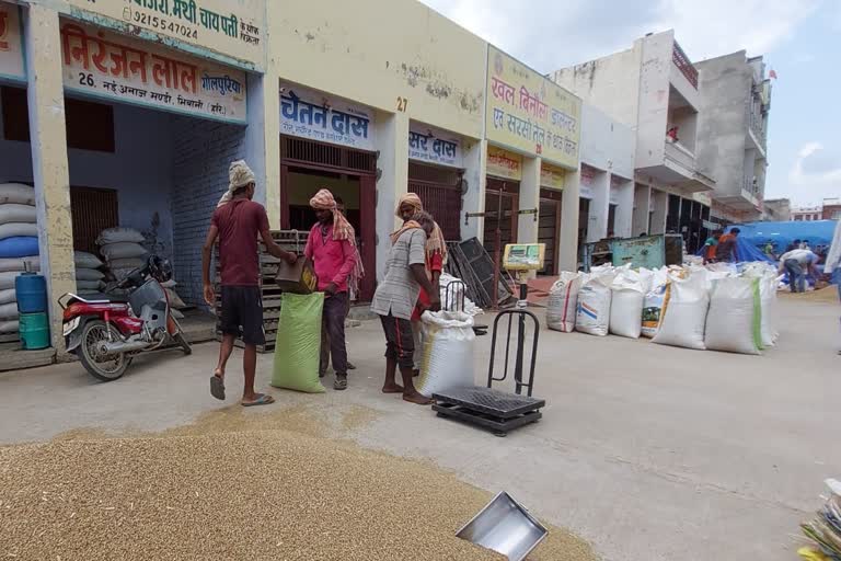 haryana crop purcahse on MSP