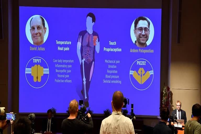 two win medicine Nobel for showing how we react to heat, touch  നൊബേൽ പുരസ്‌കാരം  വൈദ്യശാസ്‌ത്രത്തിനുള്ള നൊബേൽ പുരസ്‌കാരം  ഡേവിഡ് ജൂലിയസ്  ആർഡം പറ്റപോഷിയൻ  medicine Nobel  David Julius  Ardem Patapoutian