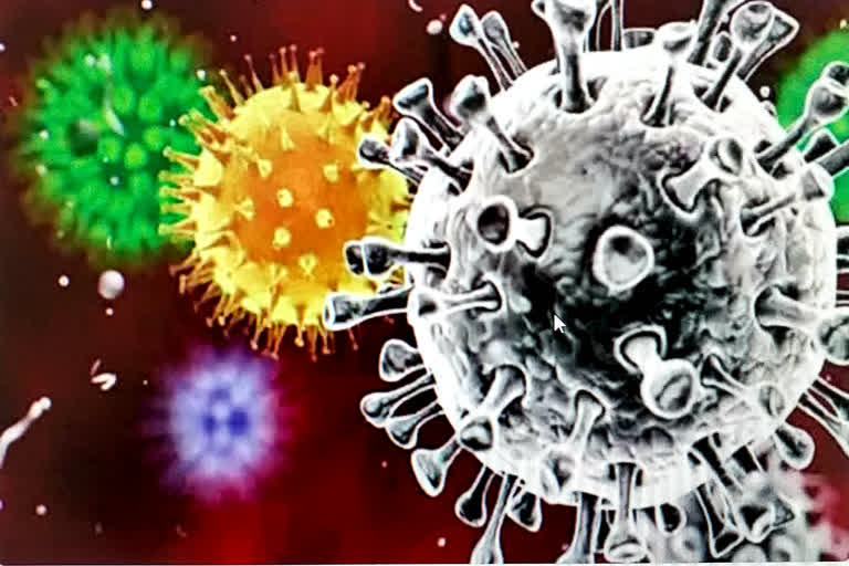 coronavirus