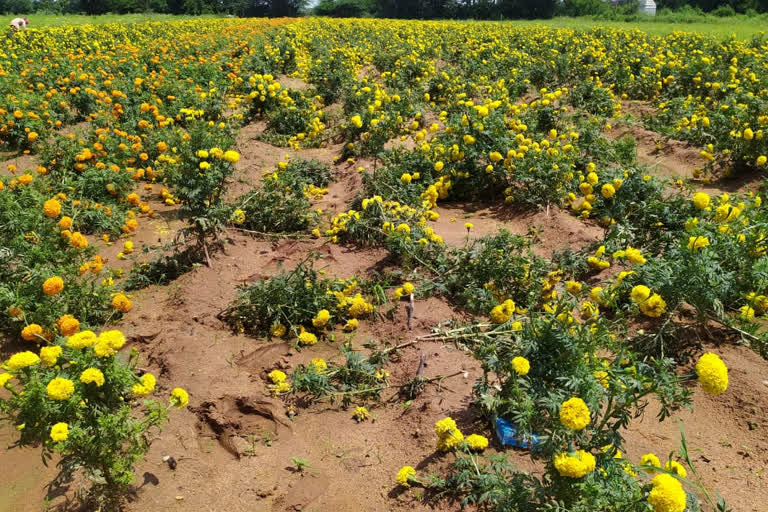 heavy rain lashes in Yadagiri