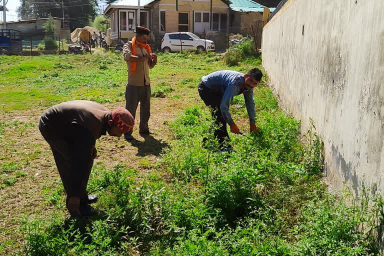 City Council started preparations for organizing International Dussehra festival in Kullu