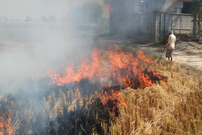 haryana stubble burning scheme