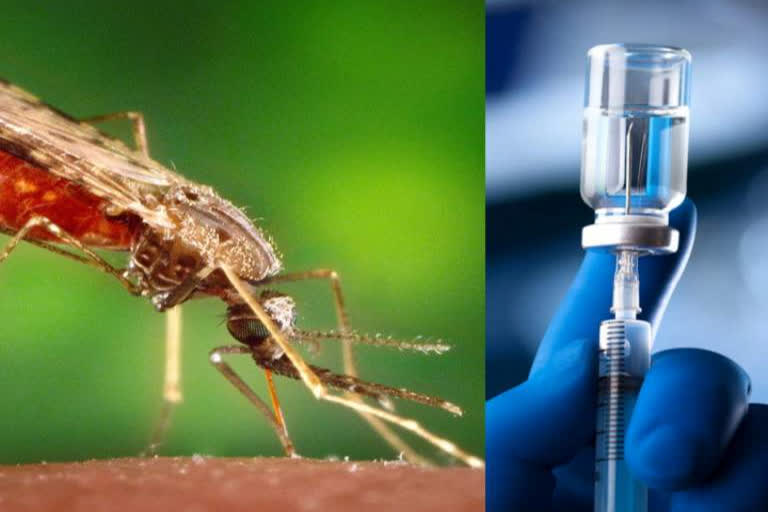 World's First Malaria Vaccine Approved By WHO