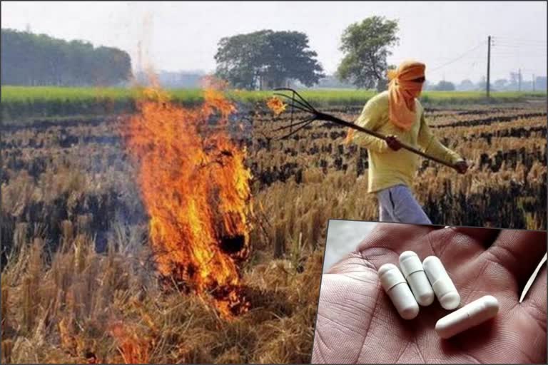 haryana stubble burning