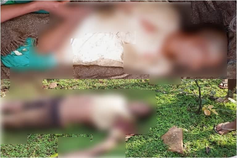 elephant-killed-two-persons-in-latehar