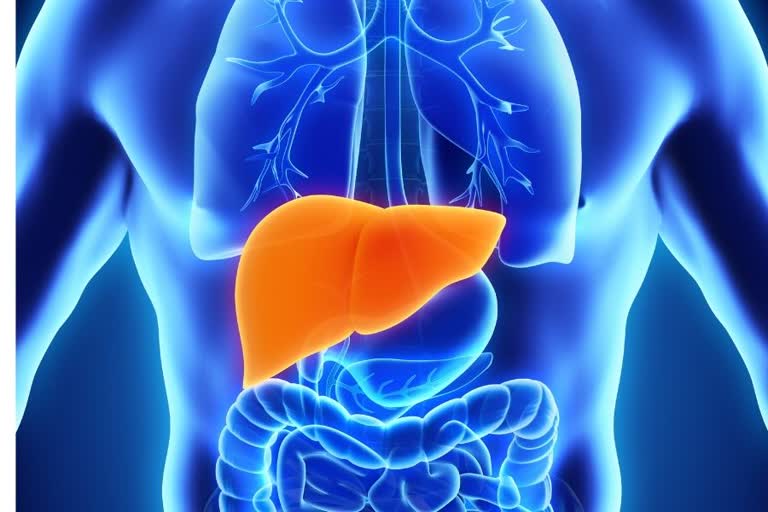 general health, liver, toxins, liver detoxification, how to detoxify liver, what is liver detoxification, who requires liver detoxification, why is liver detoxification necessary, how to detoxify the body, what makes toxins in the liver, can excessive alcohol make liver toxic, symptoms of a toxic liver, How A Toxic Liver Can Affect Your Health, side effects of a toxic liver