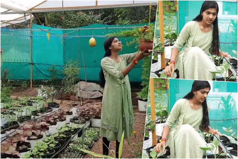 jayalekshmi gave guava plant to PM Modi  jayalekshmi  guava plant  PM Modi  agriculture  ഓരോ വീട്ടിലും കൃഷിയിടം  കൃഷി  പ്രധാനമന്ത്രി  ജയലക്ഷ്‌മി  സുരേഷ് ഗോപി