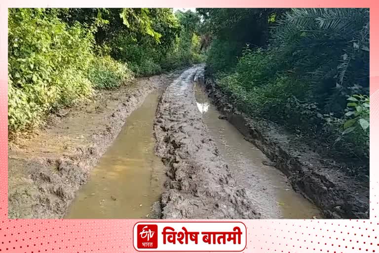 road to the farm is bad, farmers are in crisis amravati