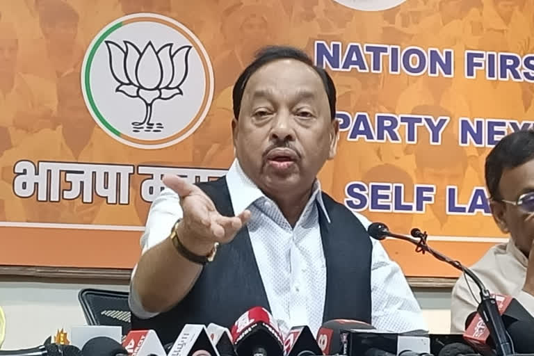 narayan-rane