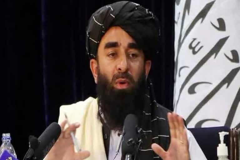 zabiullah mujahid