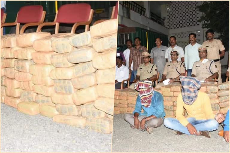 seize of 340 kg marijuana and three arrested in gulbarga