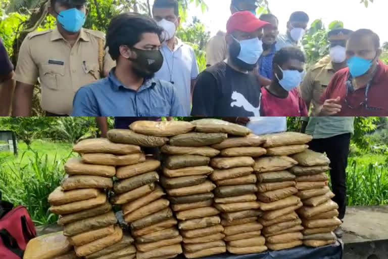 Thrissur news  three arrested with 200 kg cannabis in thrissur chalakudy  three arrested with cannabis  three arrested with cannabis s in thrissur  three arrested with cannabis s in thrissur chalakudy  three arrested with cannabis s in chalakudy  chalakudy ganja news  ganja case  200 കിലോ കഞ്ചാവുമായി മൂന്ന് പേർ അറസ്റ്റിൽ  തൃശൂരിൽ വൻ കഞ്ചാവ് വേട്ട  തൃശൂരിൽ 200 കിലോ കഞ്ചാവുമായി മൂന്ന് പേർ അറസ്റ്റിൽ  കഞ്ചാവ്  കഞ്ചാവ് വാർത്ത