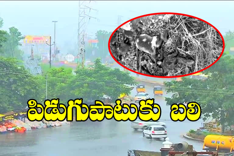 RAINS: ఆదిలాబాద్​ జిల్లాలో జోరుగా వర్షం.. పిడుగుపాటుకు బాలిక మృతి