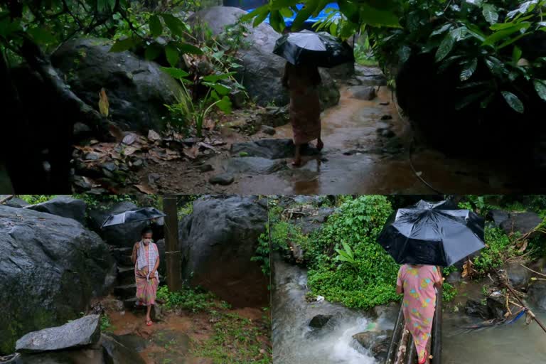 Kilikallu locals in fear of rain  അപകട ഭീതിയിൽ കിളിക്കല്ല് പ്രദേശവാസികൾ  കിളിക്കല്ല്  മുത്തപ്പൻ പുഴ  Kilikallu  rain