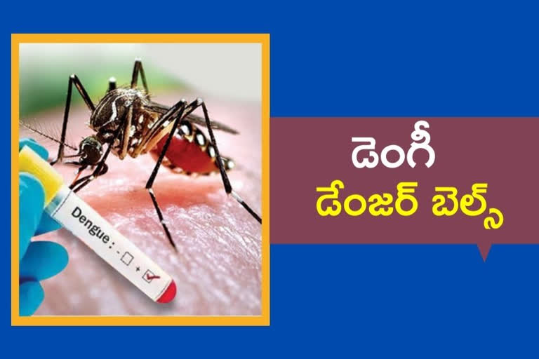 Dengue fever increased in Telangana districts