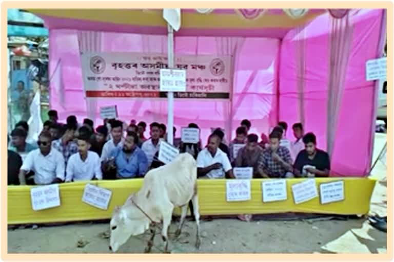 protest againts assam cattle preservation act 2021